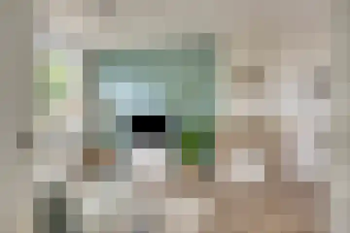Aalscholversingel 110 Velp thumbnail 26