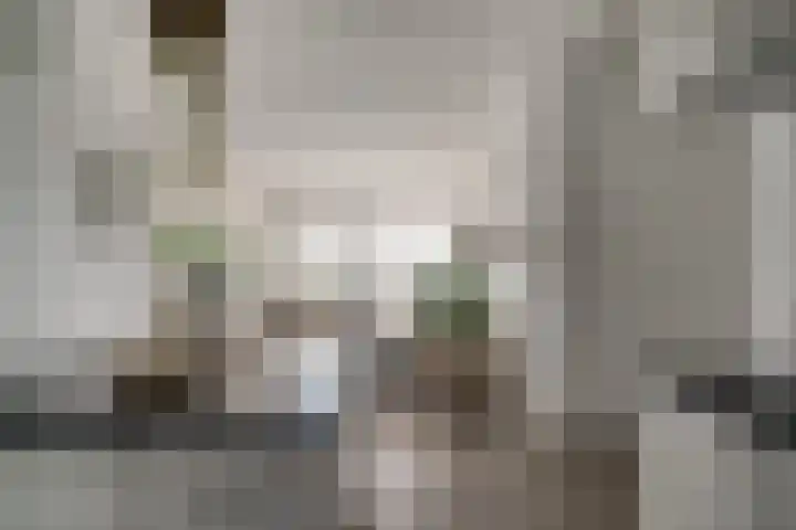 Aalscholversingel 110 Velp thumbnail 26