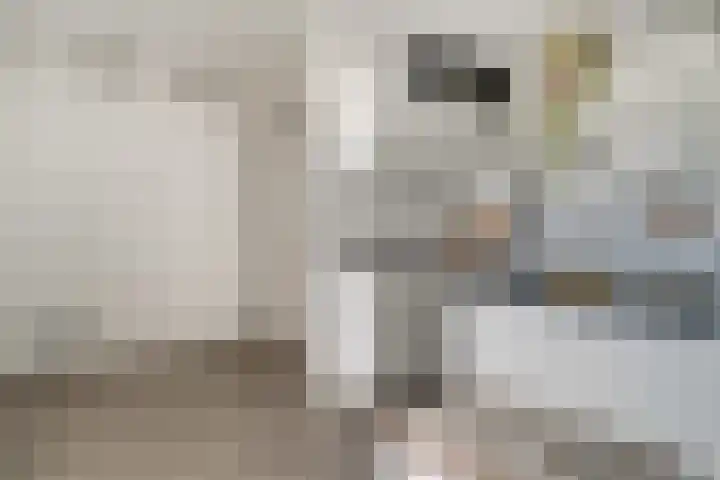 Aalscholversingel 110 Velp thumbnail 28