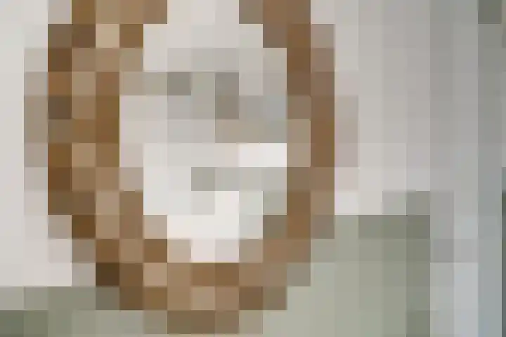 Aalscholversingel 110 Velp thumbnail 32