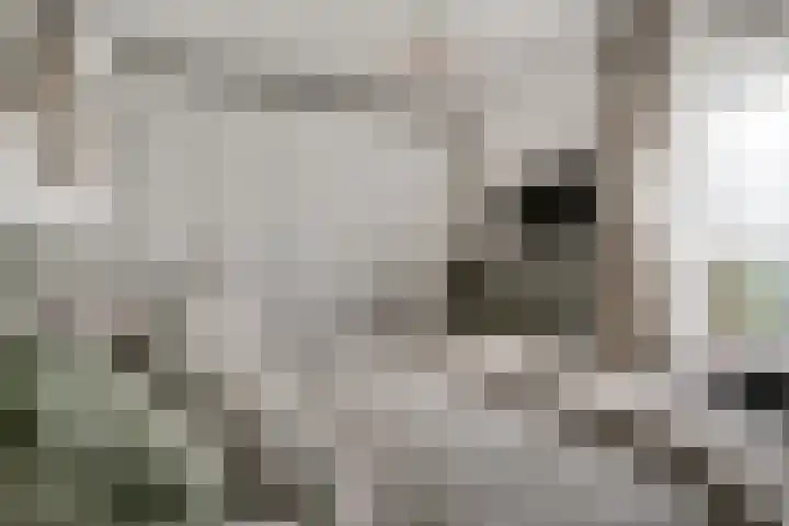 Aalscholversingel 110 Velp thumbnail 33