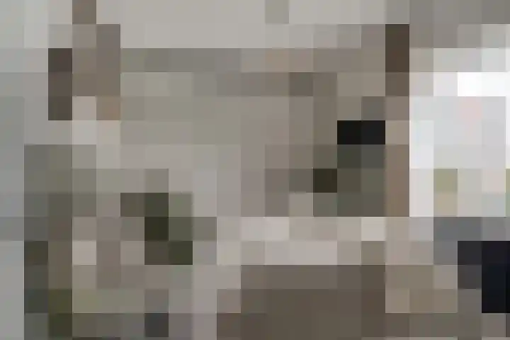 Aalscholversingel 110 Velp thumbnail 34