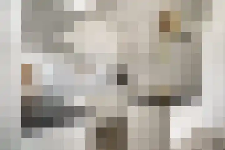 Aalscholversingel 110 Velp thumbnail 4