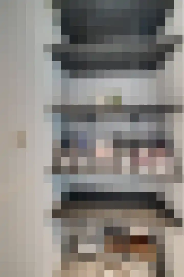 Aalscholversingel 110 Velp thumbnail 40