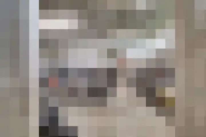 Aalscholversingel 110 Velp thumbnail 41
