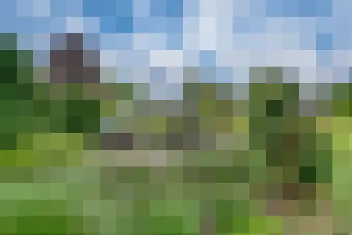 Aalscholversingel 110 Velp thumbnail 42