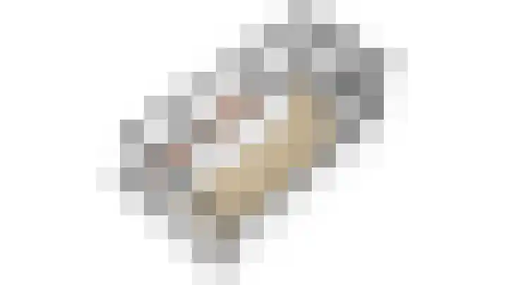 Aalscholversingel 110 Velp thumbnail 44