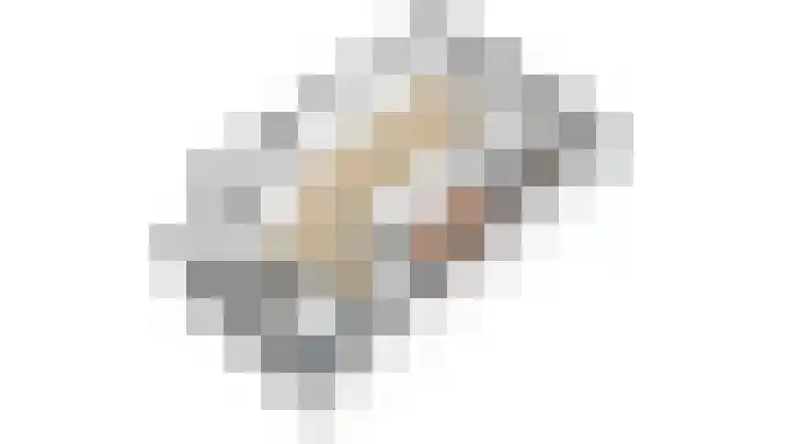 Aalscholversingel 110 Velp thumbnail 45