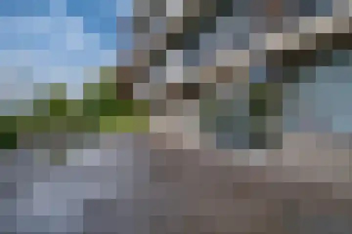Aalscholversingel 110 Velp thumbnail 6