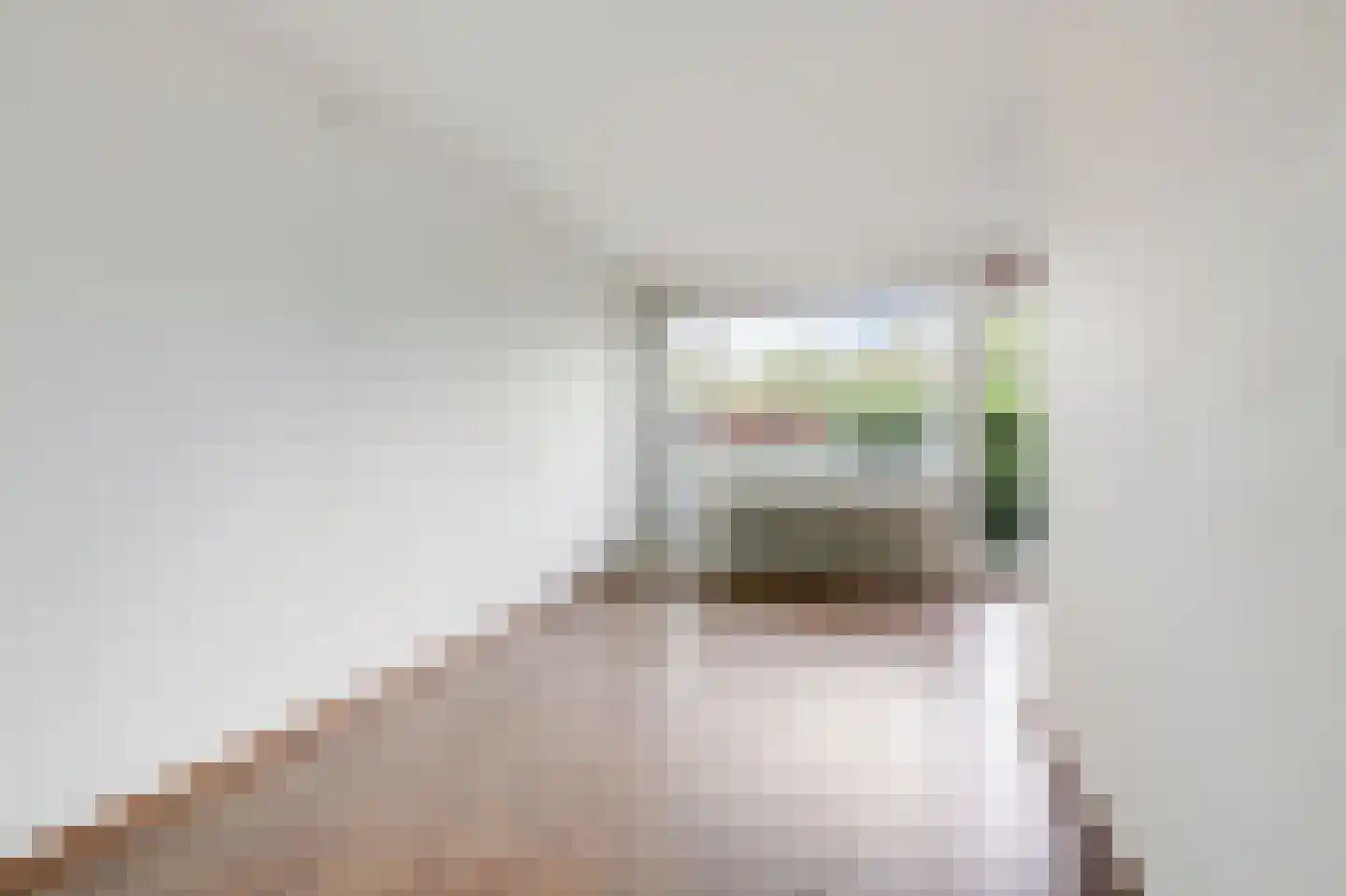 Aalscholversingel 12 Velp thumbnail 13