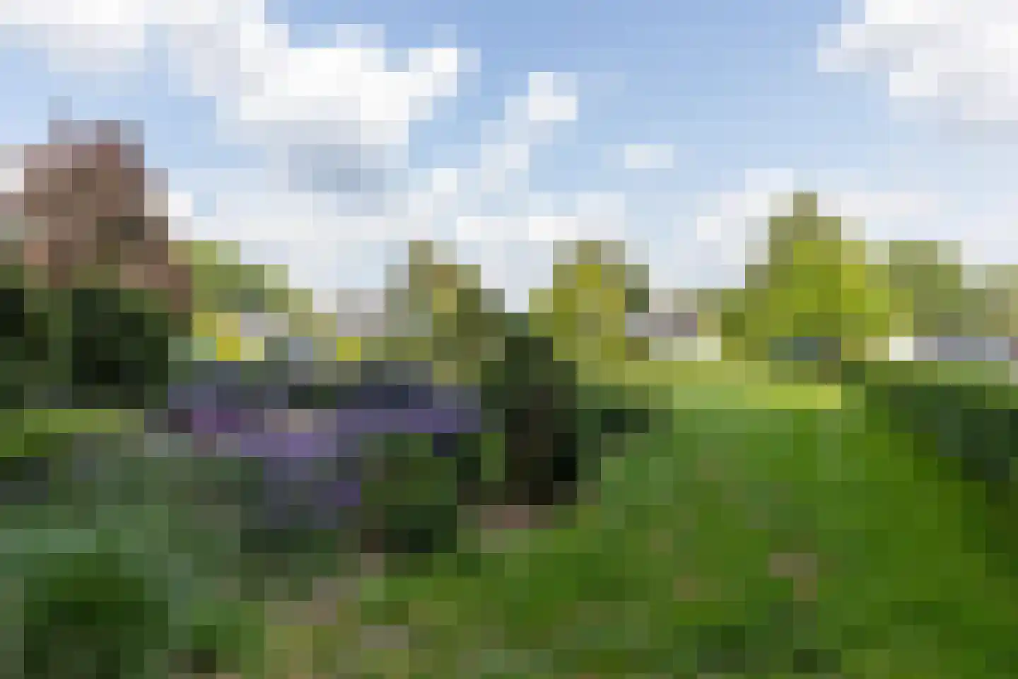 Aalscholversingel 12 Velp thumbnail 19