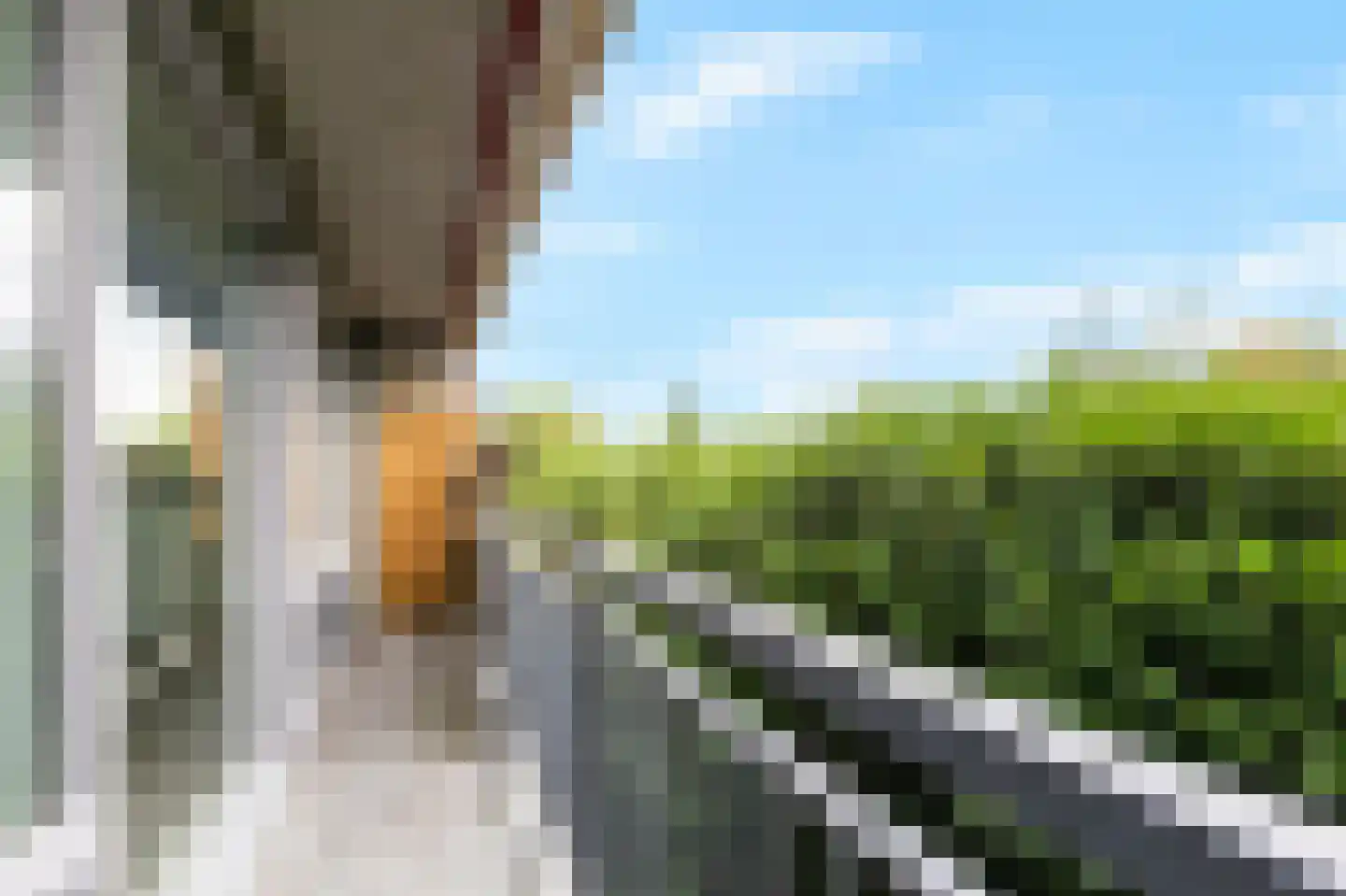 Aalscholversingel 12 Velp thumbnail 4