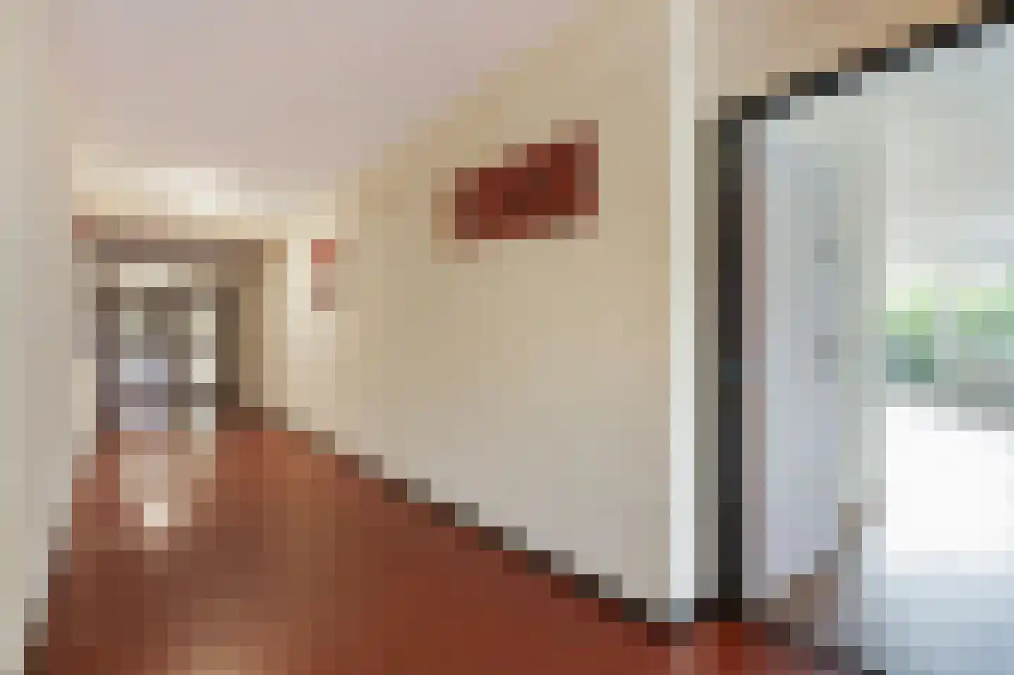 Aalscholversingel 12 Velp thumbnail 5