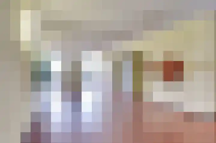 Aalscholversingel 120 Velp thumbnail 14