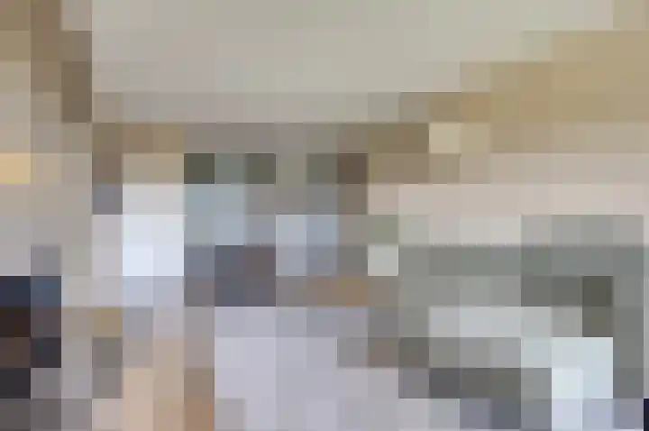 Aalscholversingel 120 Velp thumbnail 18
