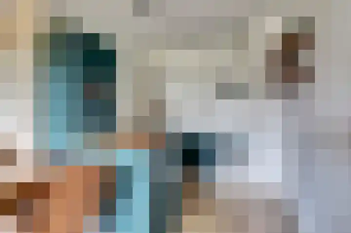 Aalscholversingel 120 Velp thumbnail 21