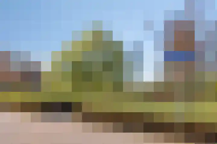 Aalscholversingel 120 Velp thumbnail 24