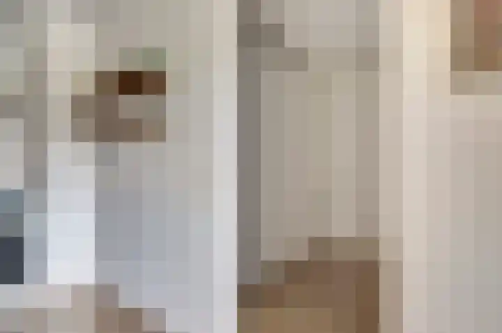 Aalscholversingel 120 Velp thumbnail 24