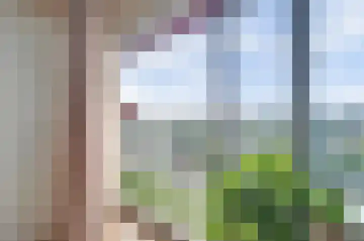Aalscholversingel 120 Velp thumbnail 32