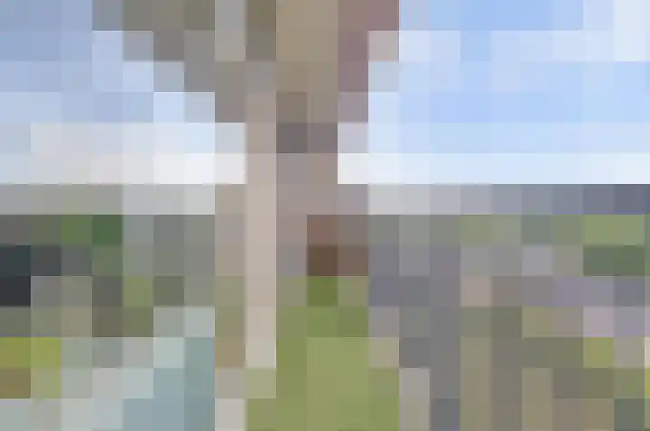 Aalscholversingel 120 Velp thumbnail 34