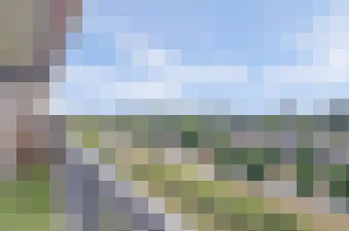 Aalscholversingel 120 Velp thumbnail 35