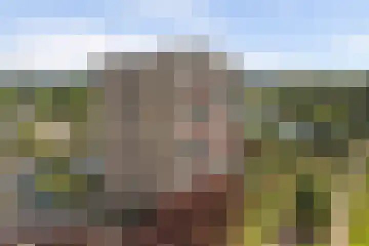 Aalscholversingel 120 Velp thumbnail 39