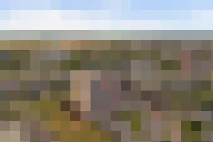 Aalscholversingel 120 Velp thumbnail 41