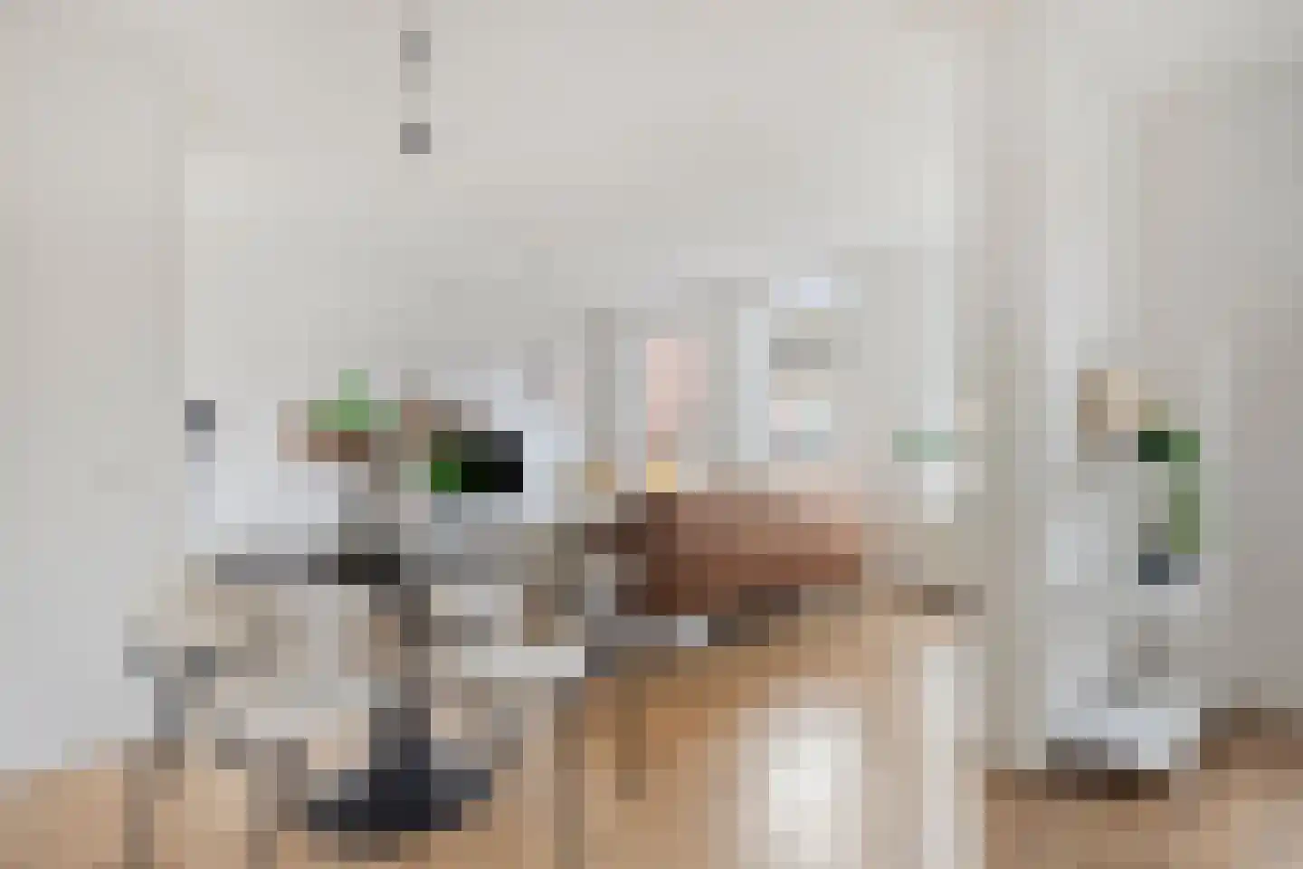 Aalscholversingel 120 Velp thumbnail 7
