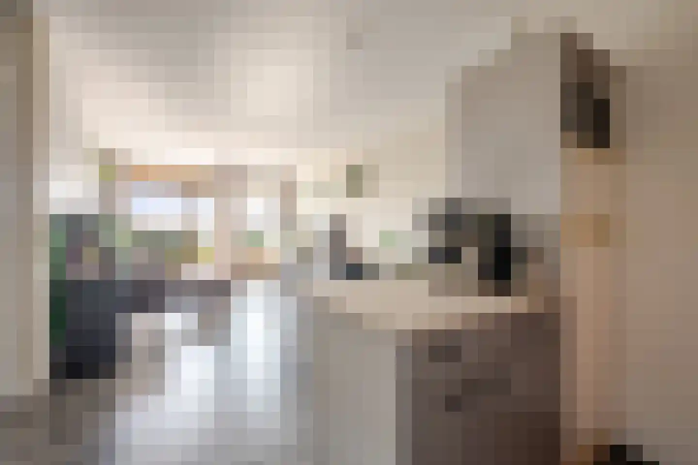 Aalscholversingel 130 Velp thumbnail 11