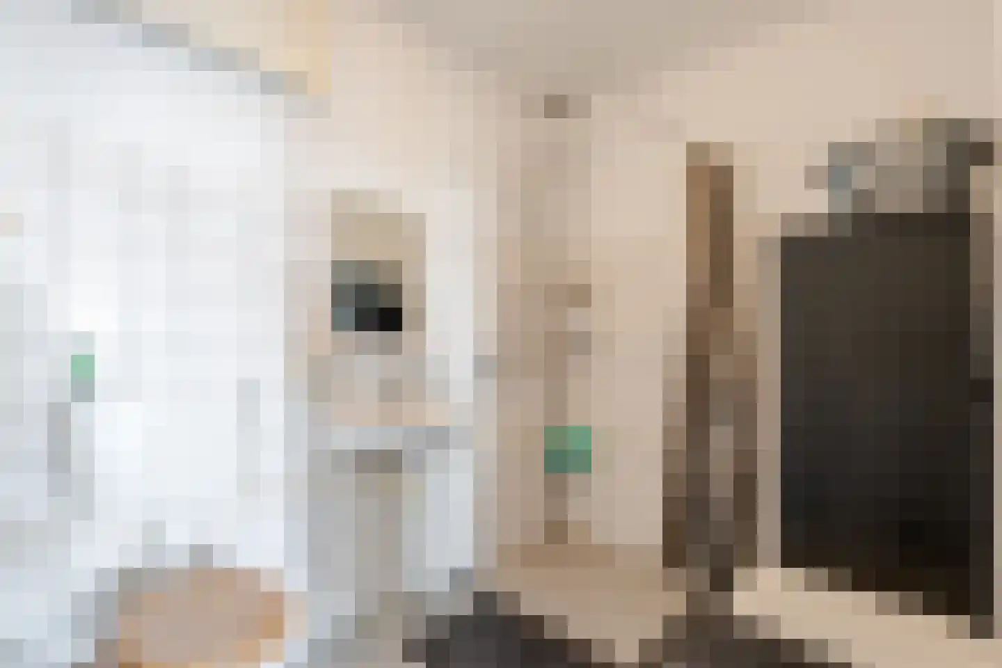 Aalscholversingel 130 Velp thumbnail 17