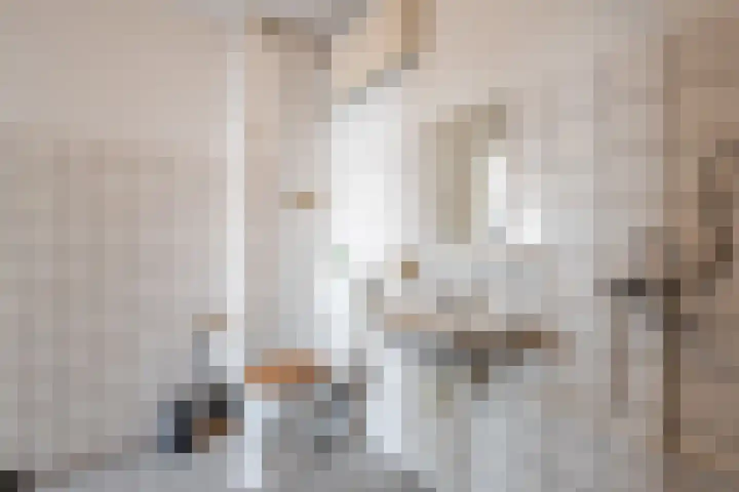 Aalscholversingel 130 Velp thumbnail 18