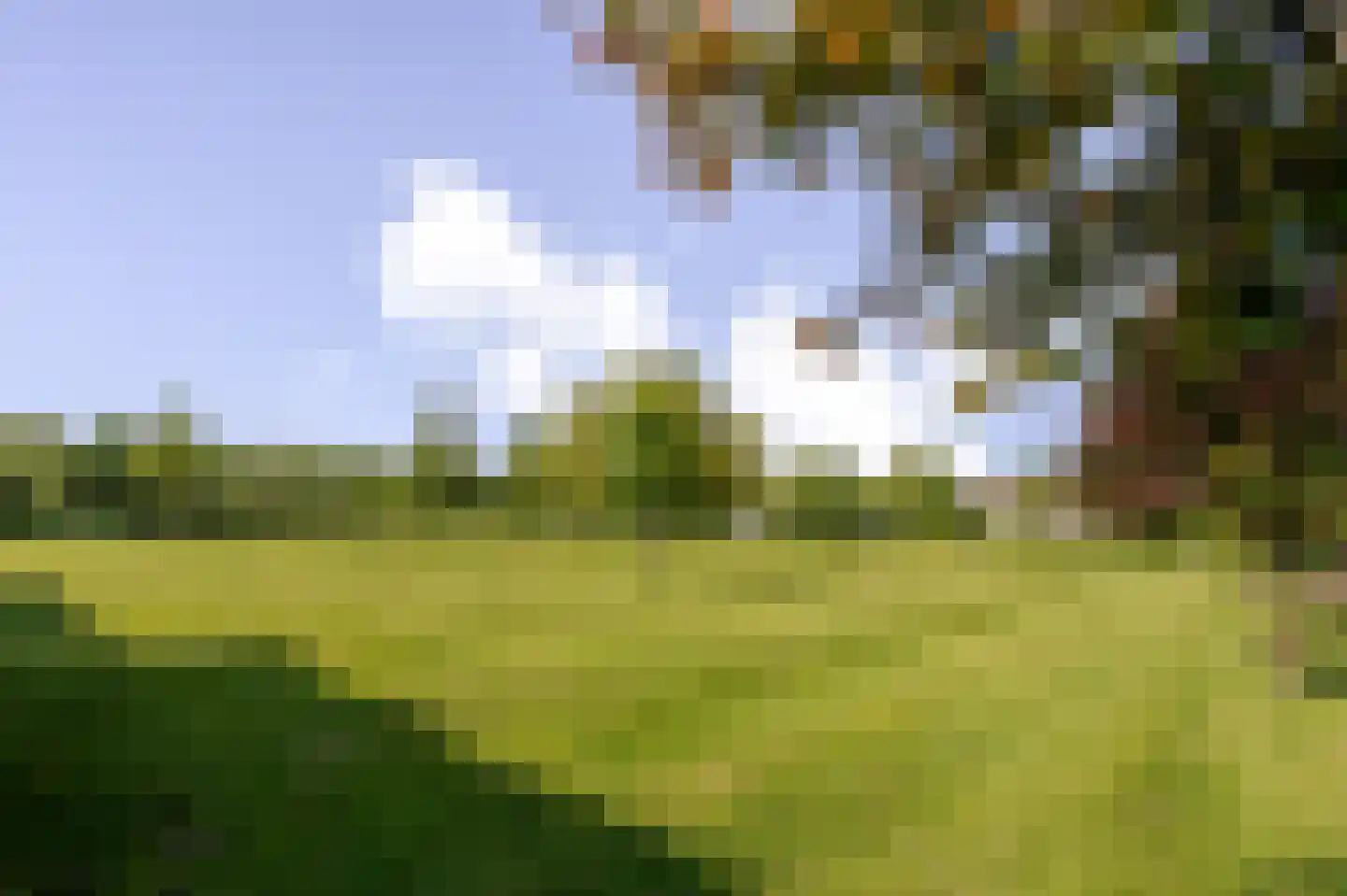 Aalscholversingel 130 Velp thumbnail 19