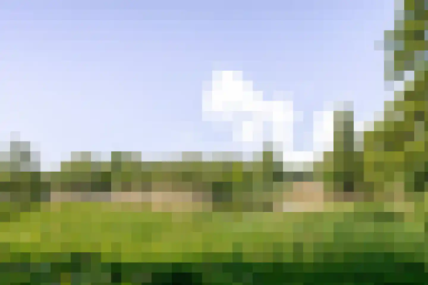 Aalscholversingel 130 Velp thumbnail 20