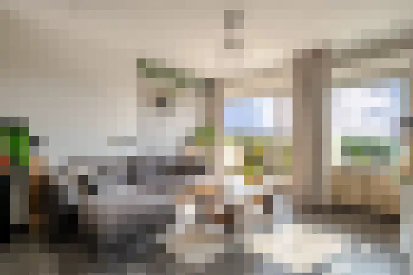 Aalscholversingel 130 Velp thumbnail 4