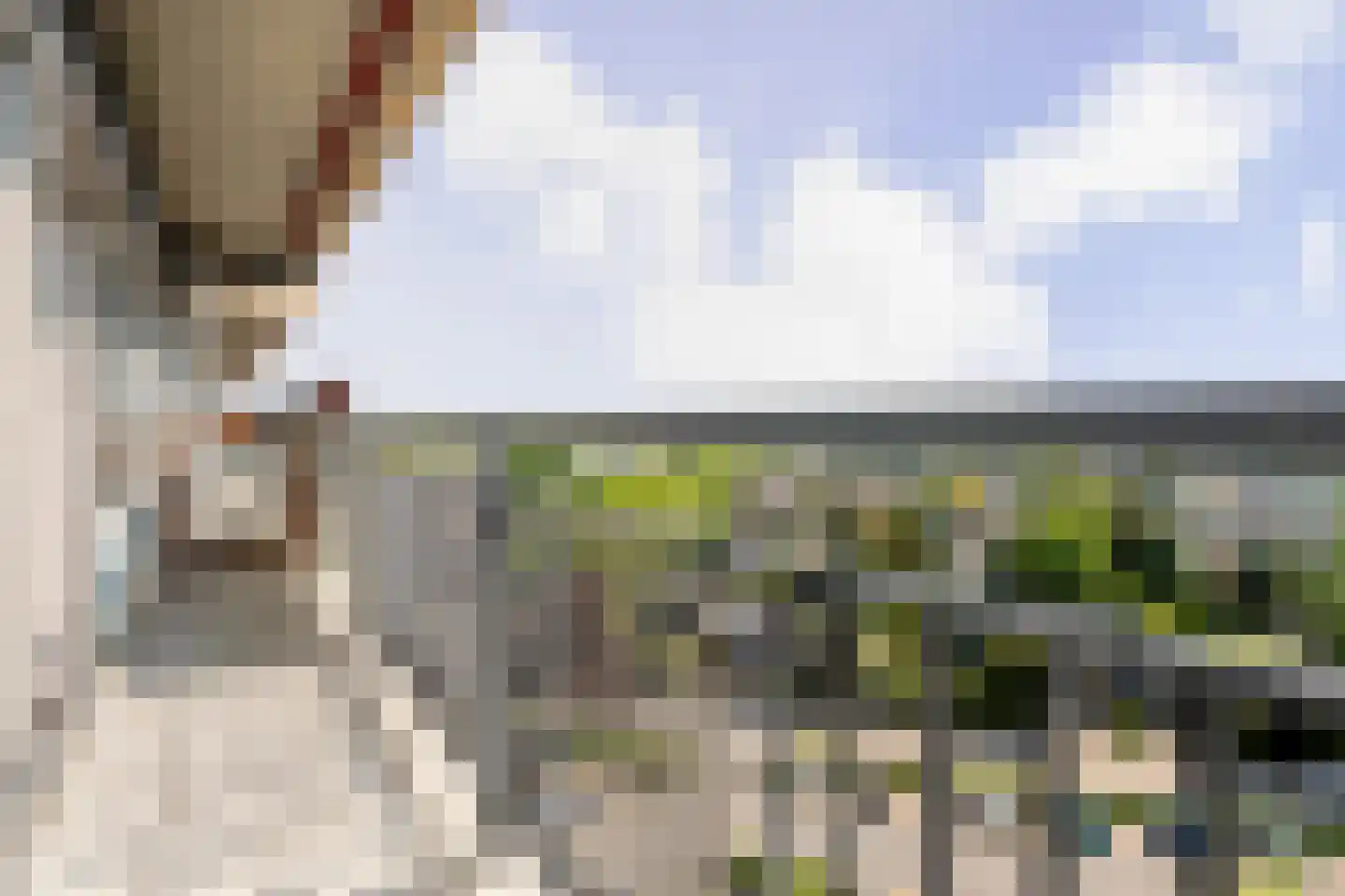 Aalscholversingel 130 Velp thumbnail 5