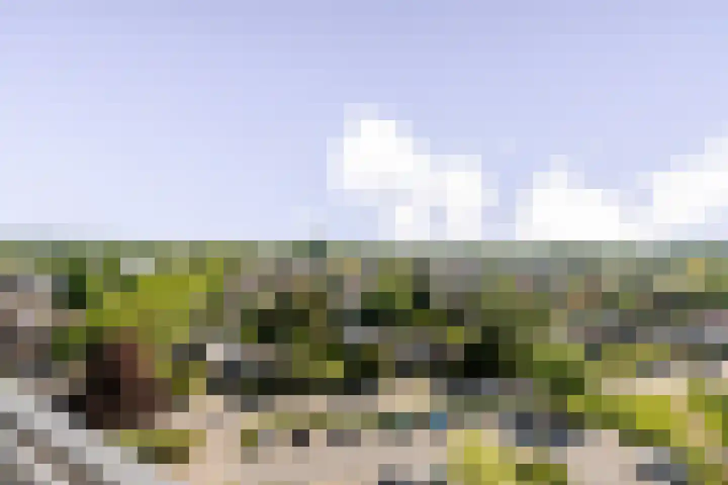 Aalscholversingel 130 Velp thumbnail 6