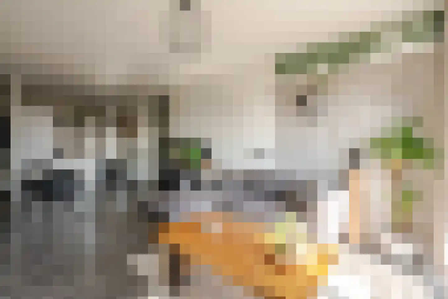 Aalscholversingel 130 Velp thumbnail 7