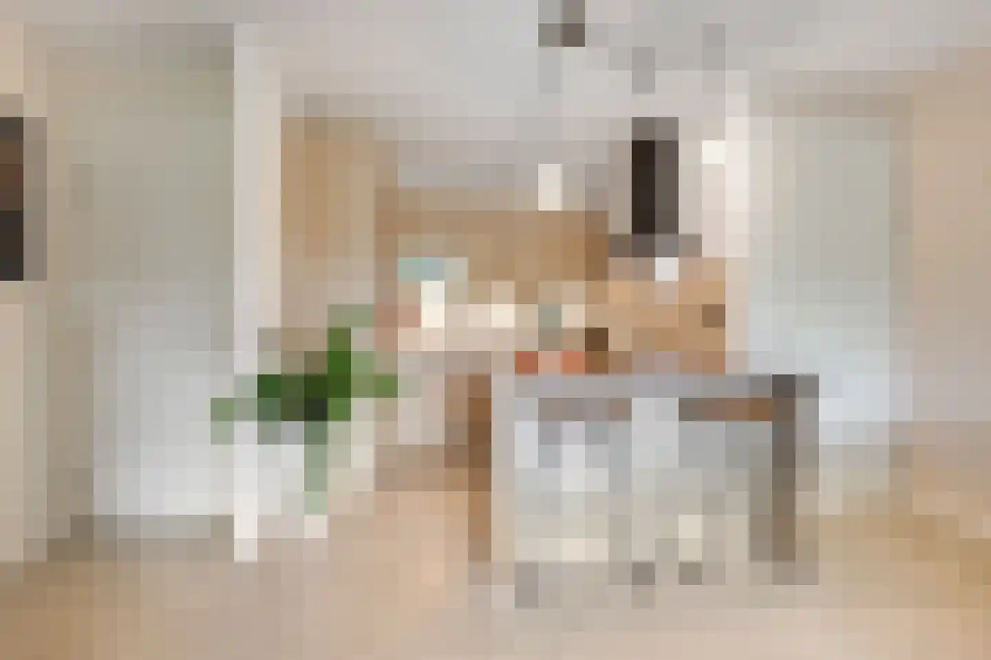 Aalscholversingel 14 Velp thumbnail 12