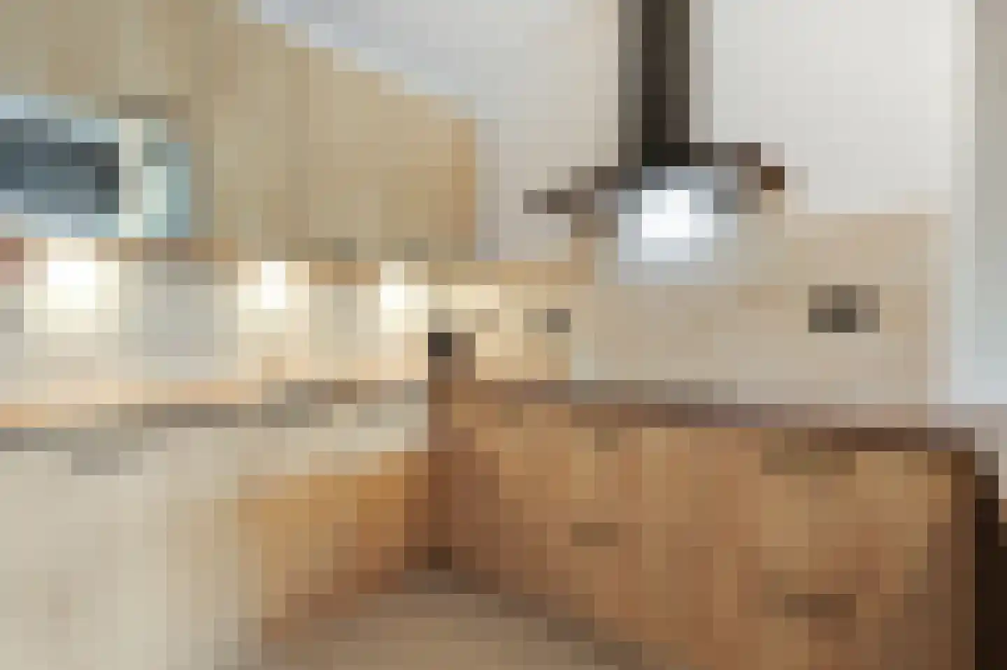 Aalscholversingel 14 Velp thumbnail 13