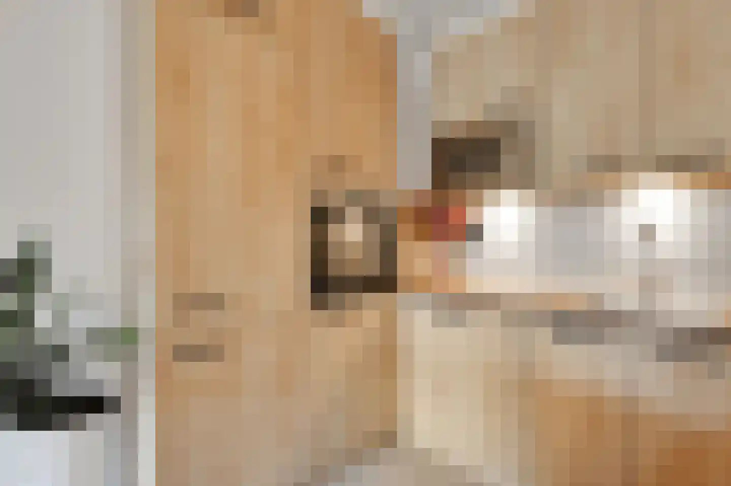 Aalscholversingel 14 Velp thumbnail 14