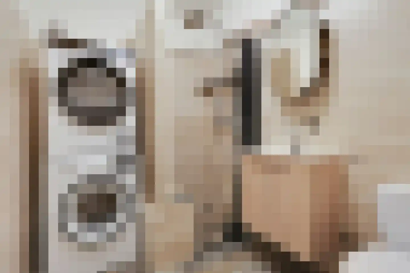 Aalscholversingel 14 Velp thumbnail 18