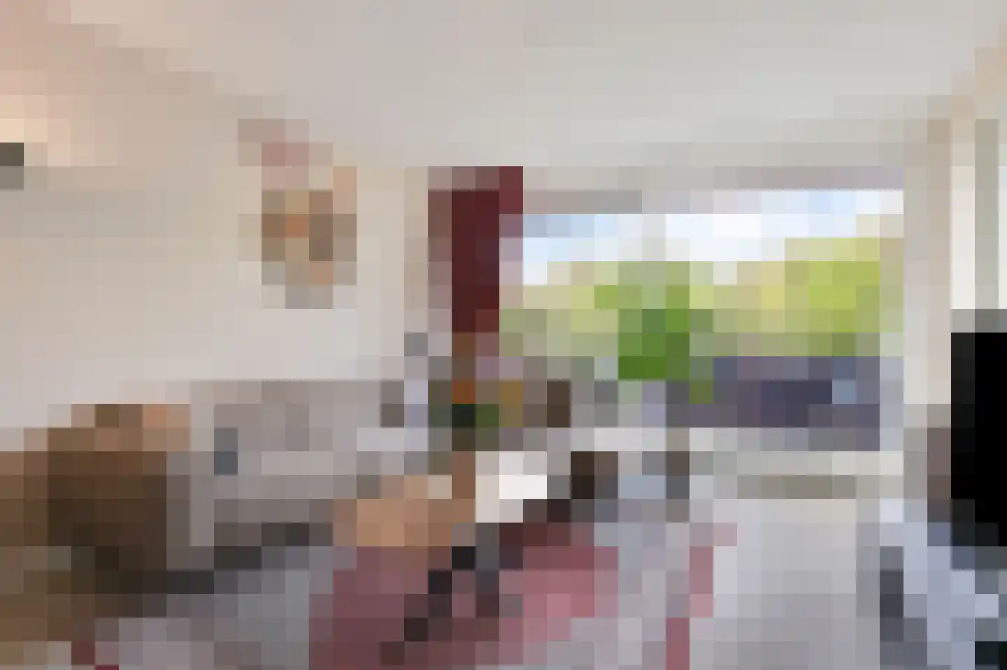 Aalscholversingel 14 Velp thumbnail 7