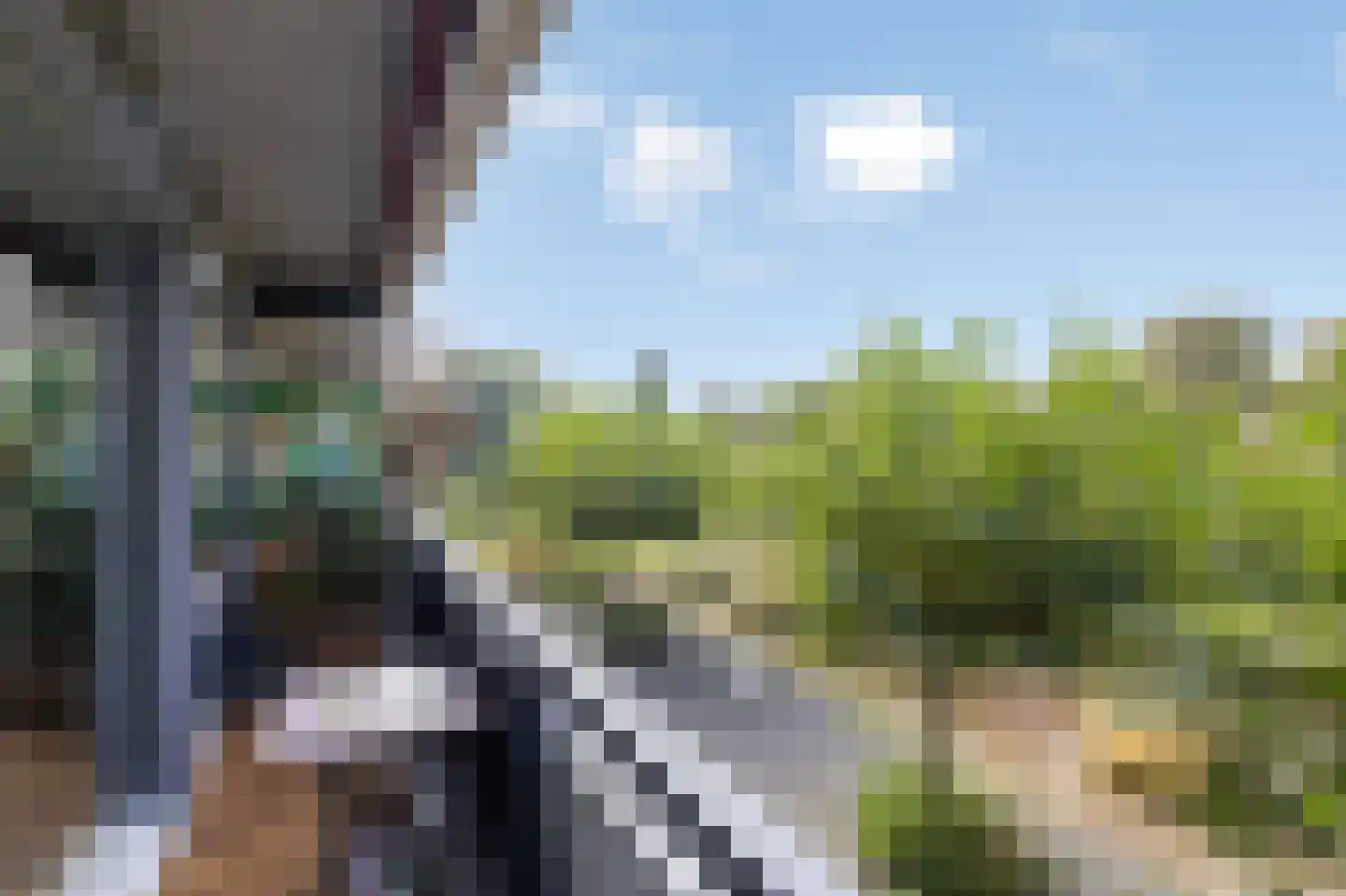 Aalscholversingel 14 Velp thumbnail 9