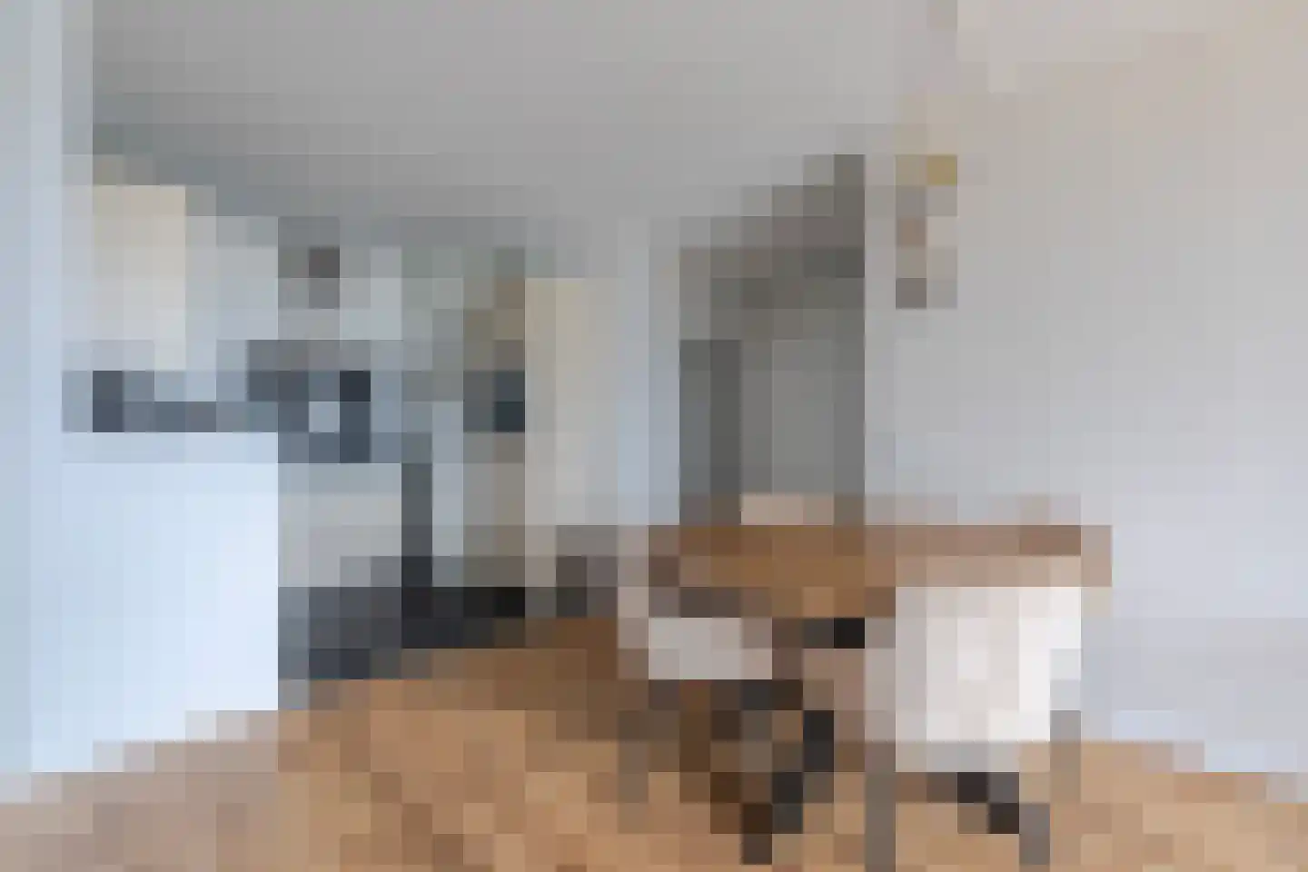 Aalscholversingel 166 Velp thumbnail 11