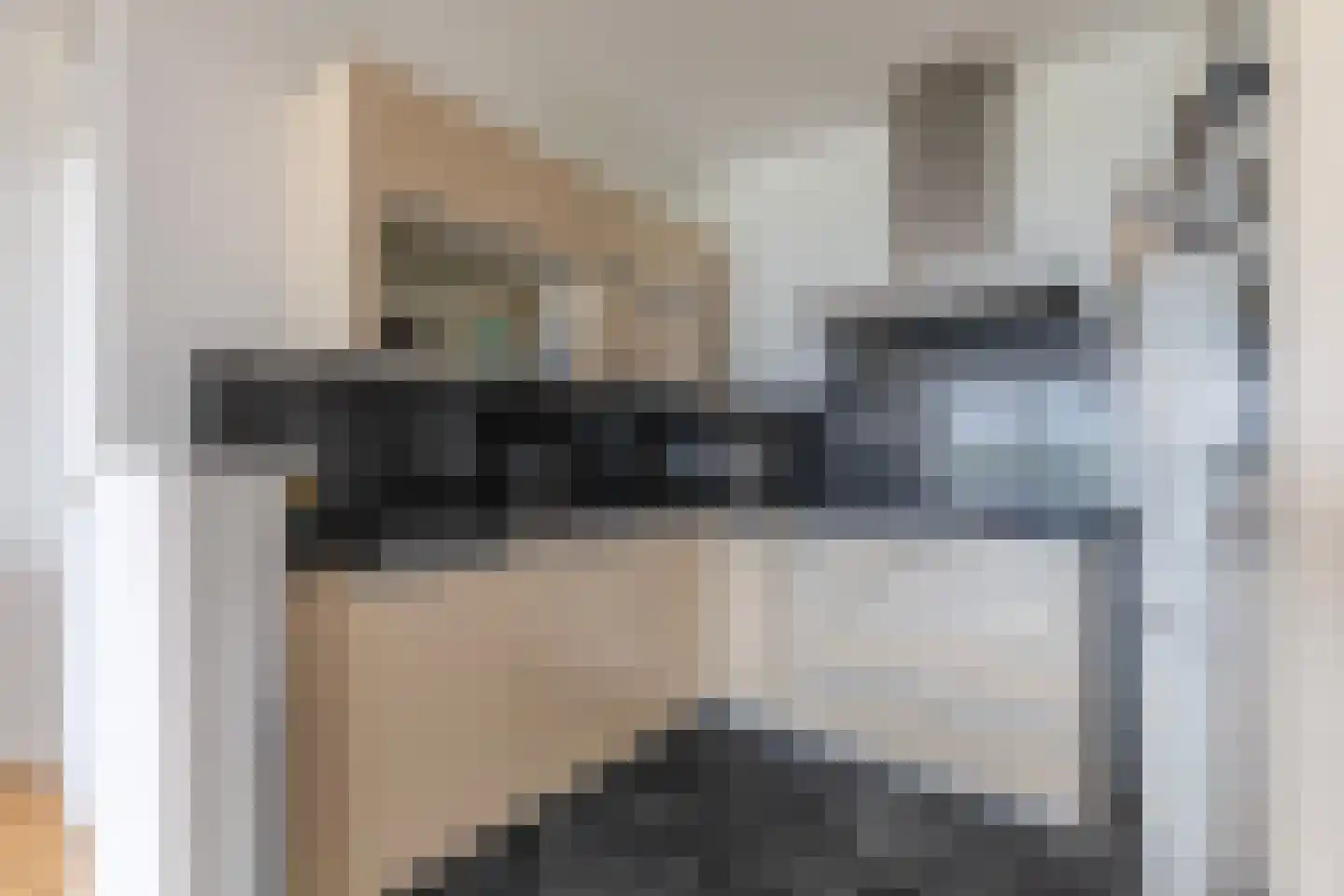 Aalscholversingel 166 Velp thumbnail 13