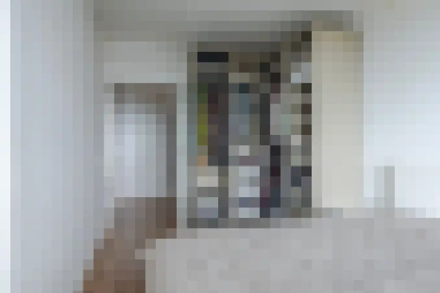 Aalscholversingel 166 Velp thumbnail 19