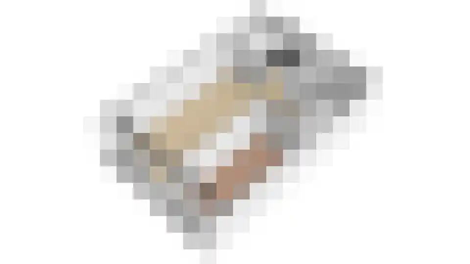 Aalscholversingel 166 Velp thumbnail 33