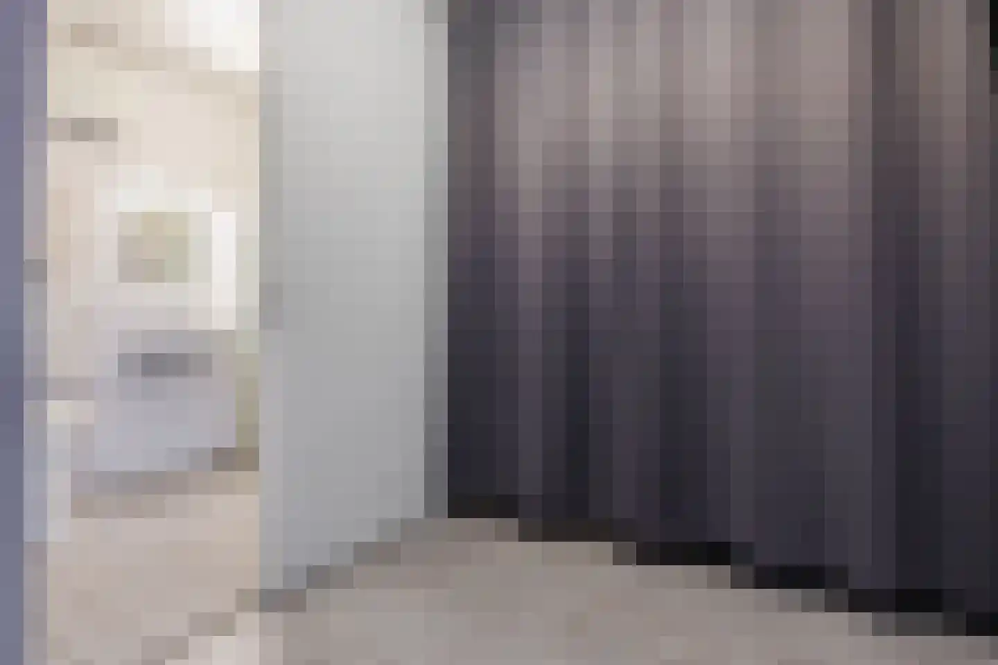 Aalscholversingel 184 Velp thumbnail 20