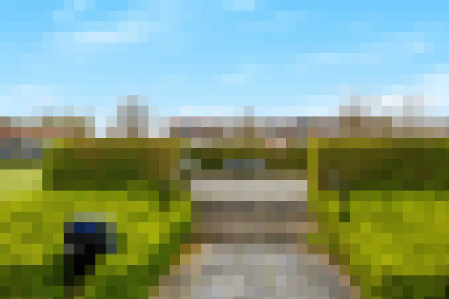 Aalscholversingel 184 Velp thumbnail 24