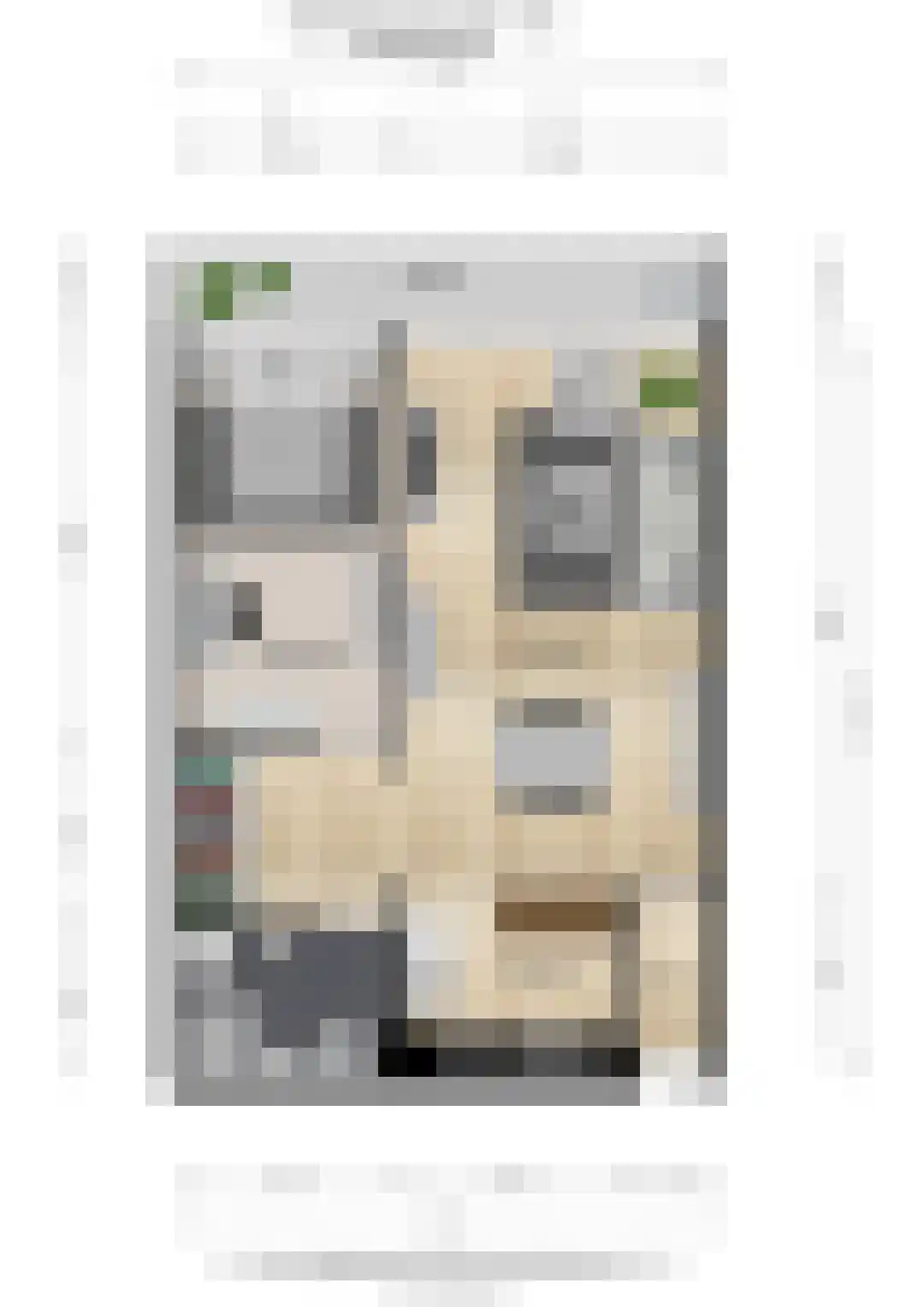 Aalscholversingel 184 Velp thumbnail 30